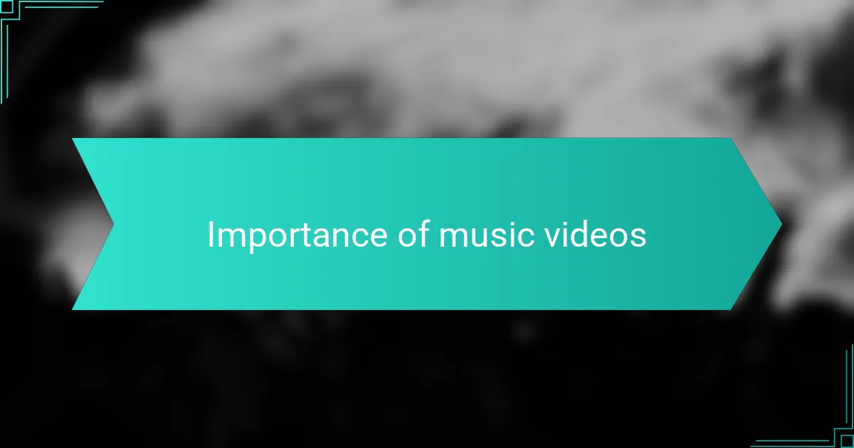 Importance of music videos