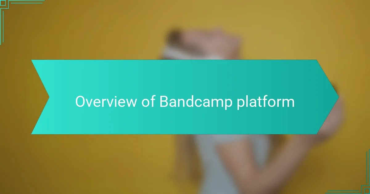 Overview of Bandcamp platform